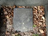 image of grave number 905533